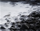 dailyPhoto8